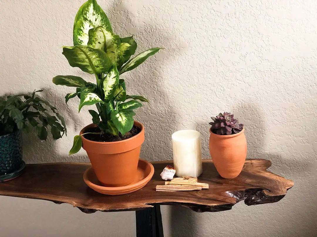 Custom DIY Table with Plants