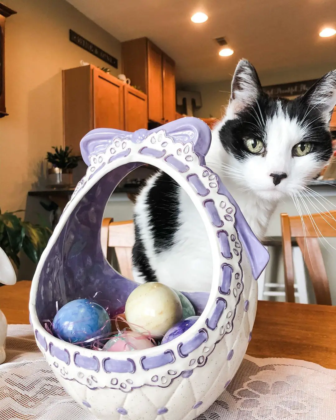 Precious Cat with Easter Eggs