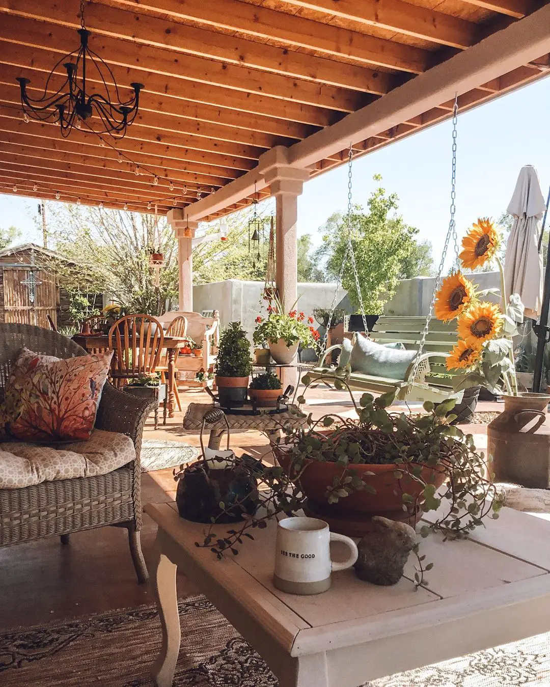 Outdoor Patio Decor and Plants