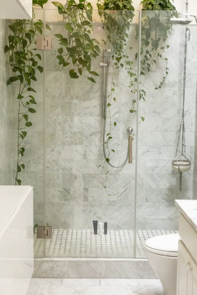 hanging plants in small bathrooms